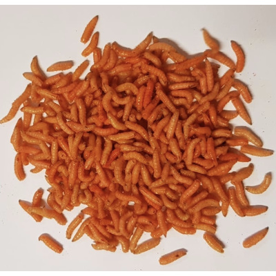 Gefärbte Maden (orange) Dose à 25g